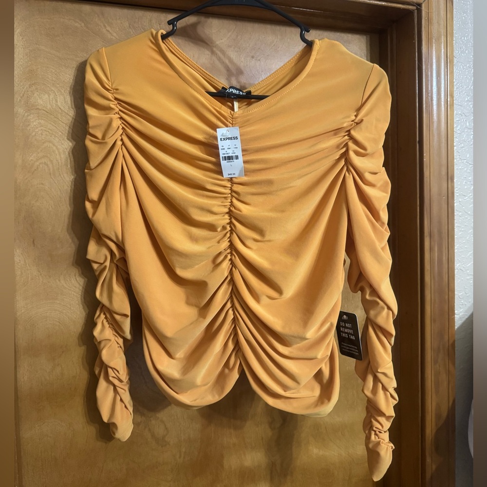 Express Ruched Long Sleeve Blouse